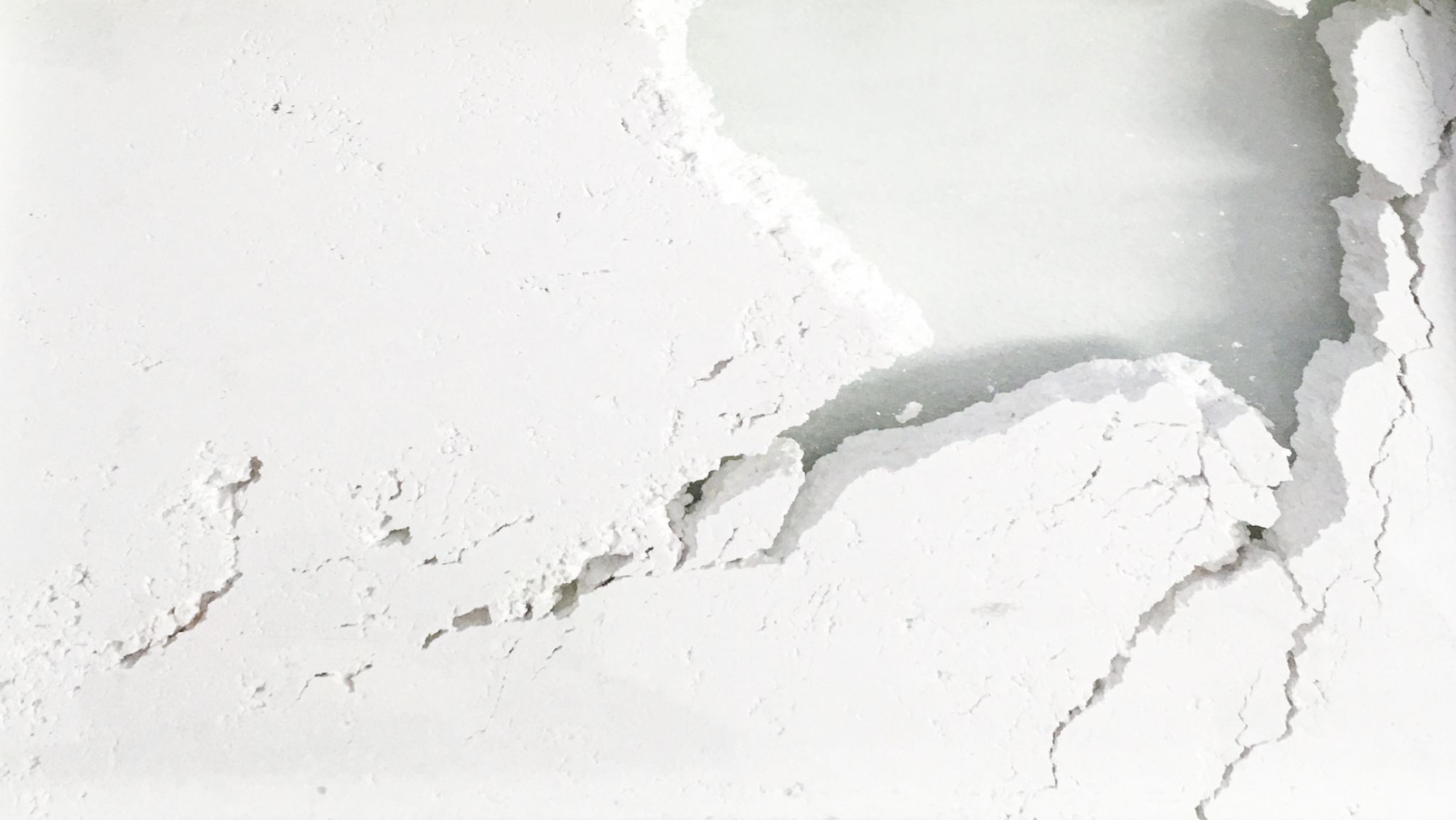 2025 DM port.para web. P74